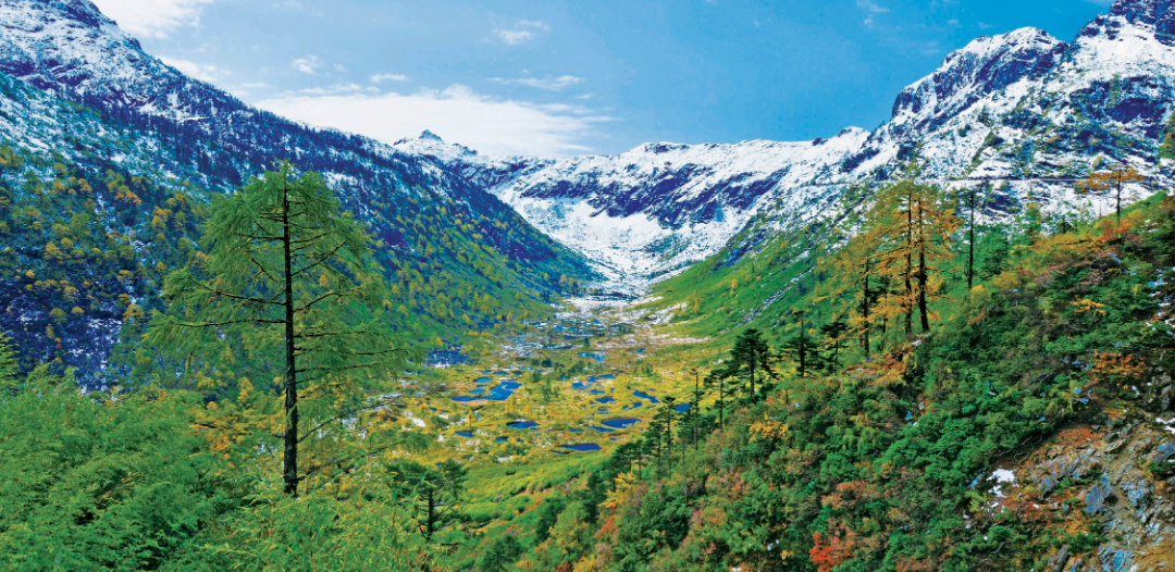 微信图片_20240418111852